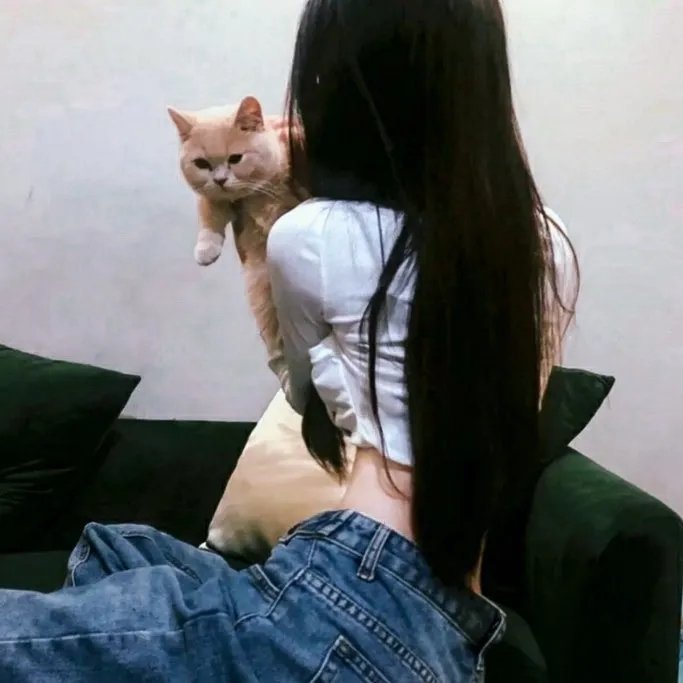 杀妻案